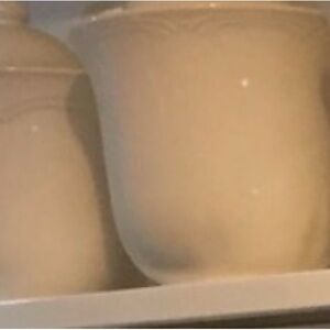 Elegant Cream Ceramic Vases